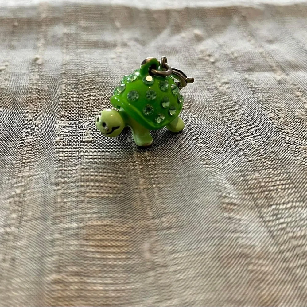 Turtle Charm 🐢 - Picture 1 of 1